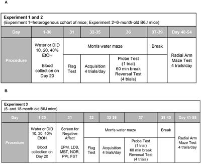 Alcohol-Drinking Under Limited-Access Procedures During Mature Adulthood Accelerates the Onset of Cognitive Impairment in Mice